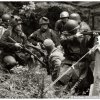 mg 213